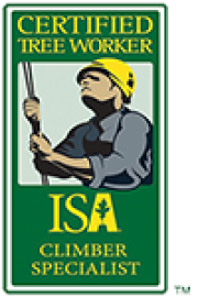 Certified Tree Worker
