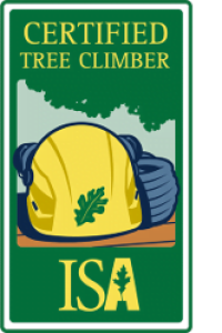 Certified Tree Climber ISA