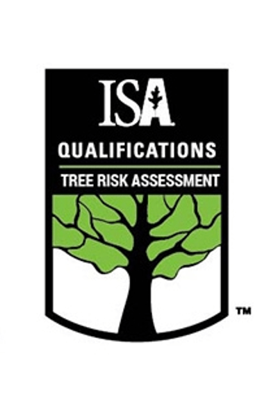 Isa Tree Risk Assessment Idaho Tree Preservation