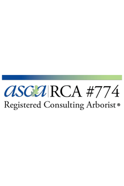 International Society of Arboriculture Member